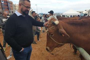 Los Llanos celebra el día grande de sus fiestas (Foto TA)